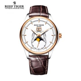 Artist Knighthood White Dial Night  Luminescent  Two Tone Case Automatic Mens Watch